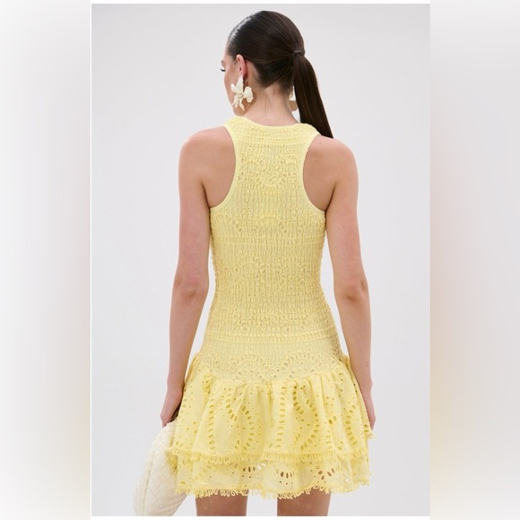 NWT AKIRA Sunny Yellow Lace Mini Dress with ruffles - Picture 5 of 6